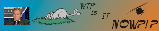 WTF Is It Now?!?